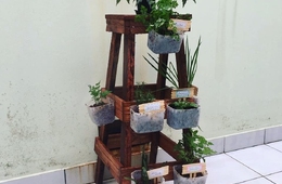 Acadêmicas de Enfermagem montam jardim de inverno