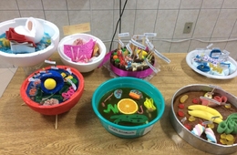 Acadêmicos criam maquetes de células