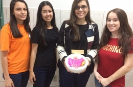 Acadêmicos criam maquetes de células